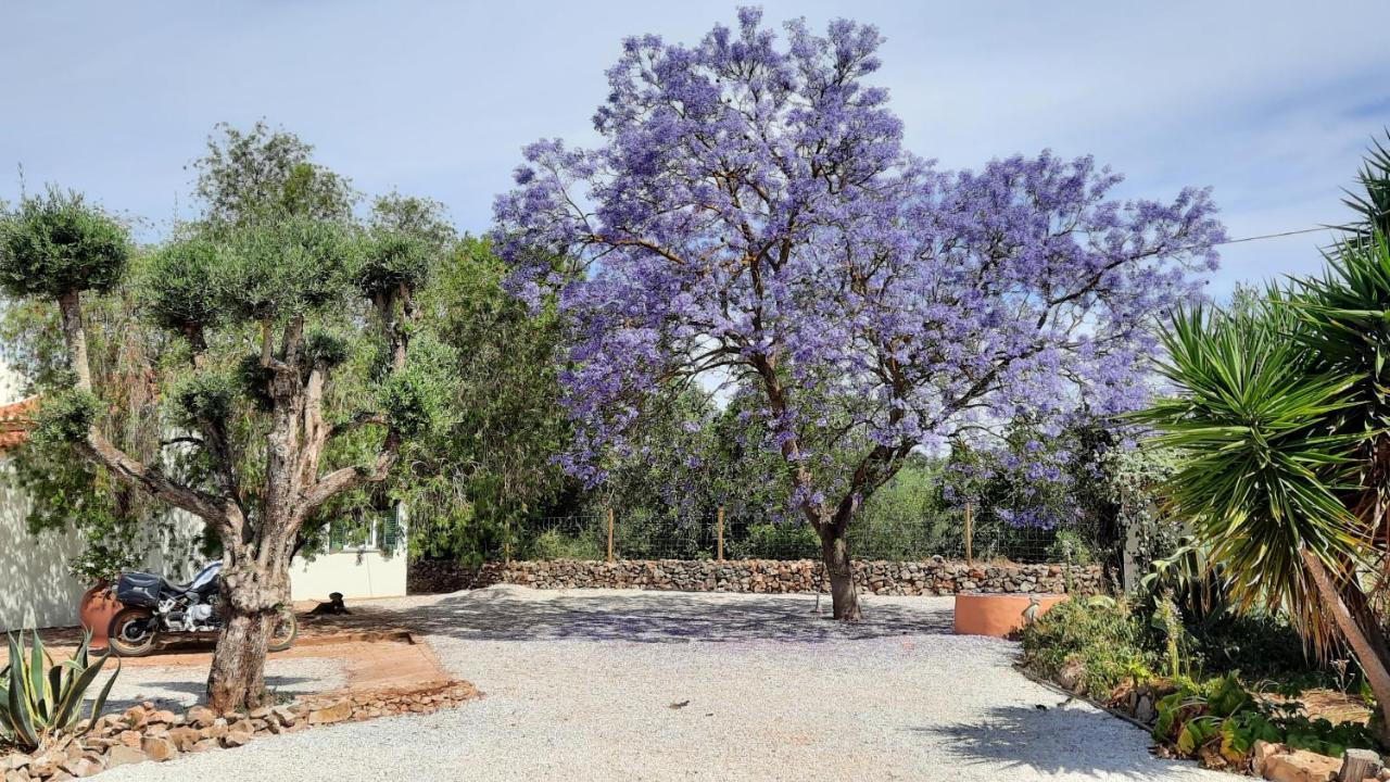 Rural Peace In The Algarve - Private Room With Kitchenette And Bathroom Aldeia dos Matos Exterior foto